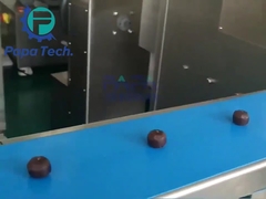 Bliss ball making machine Cookie dough ball machine energy ball making machine