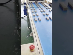 पापा हाई स्पीड मल्टी लाइन प्रोटीन डेट बार एक्सट्रूडर मशीन